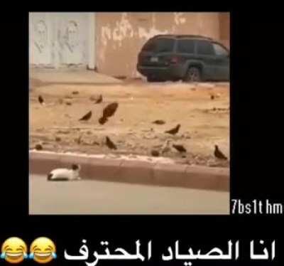 Sadge 😿 حزين 😿