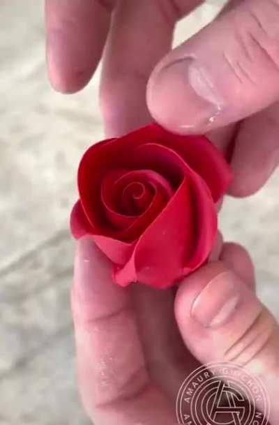 The most realistic cake you will ever see