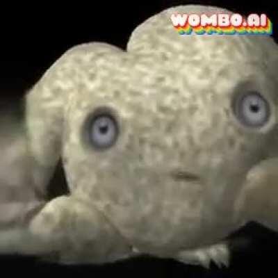 Ye.....no.....just.....no