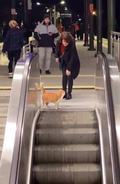 little mans going nowhere