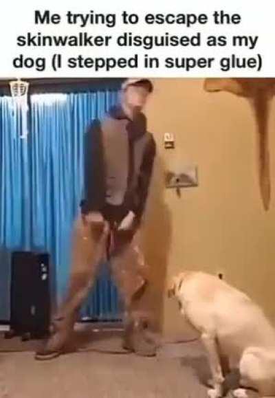 while a random song is playing in the back