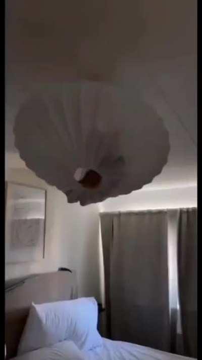 You have to be Kitten Me