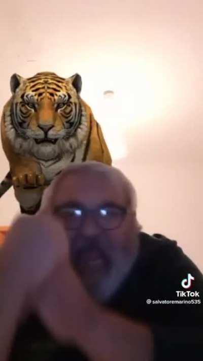 Man shits him self after seeing Tiger