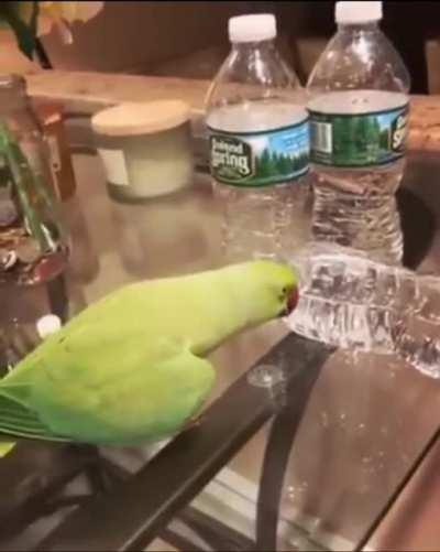 Feeling of accomplishment