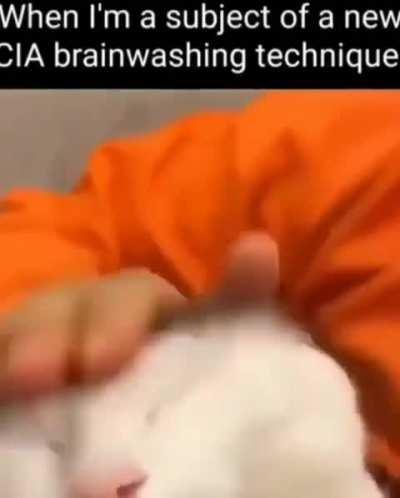 Anti-wunkus behavior will not be tolerated