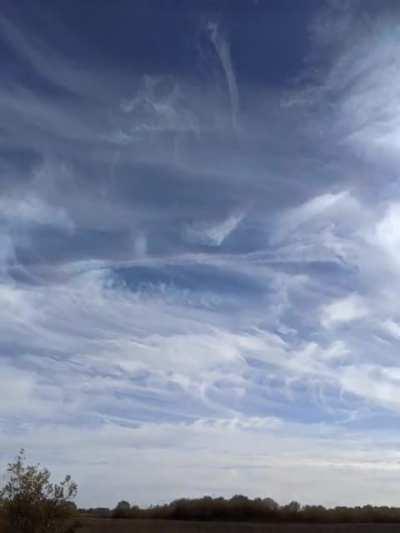 Made myself a live wallpaper