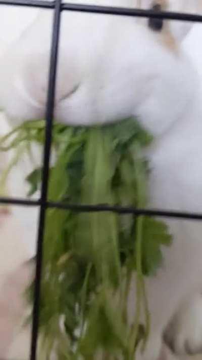 Watch me finish this in one go