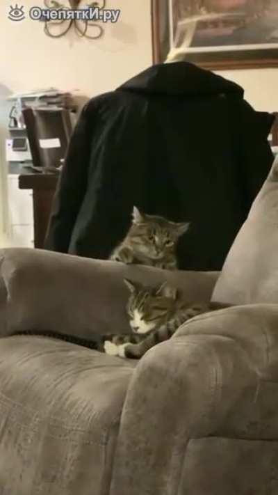 Иногда не стоит долго готовится, надо сразу делать)