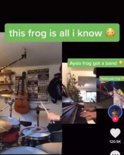 The Frog Made A Band!