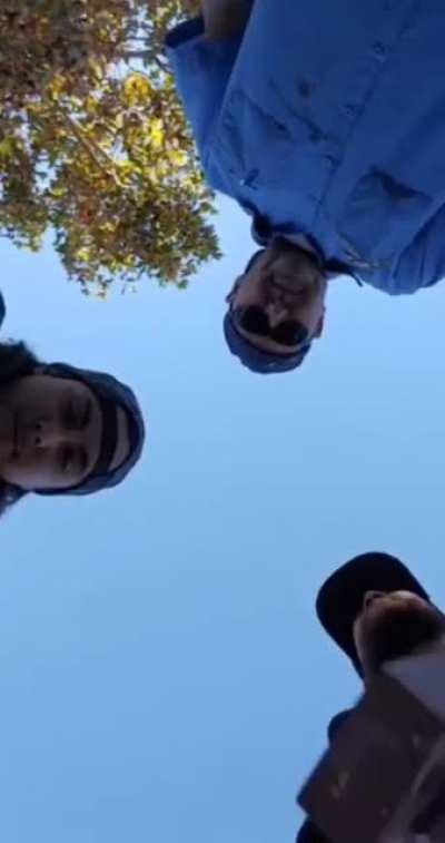 It looks like a lot of fun