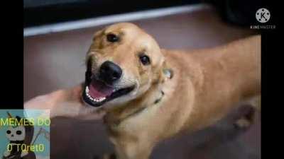 Os maiores feitos do Salsicha (percebi q n tinha o do Salsicha na Net, então fui fazer uns pra ele), parte 1