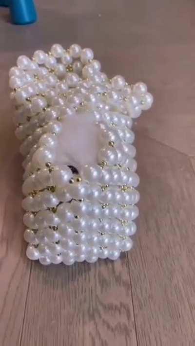 I haven't seen a smoller cat..