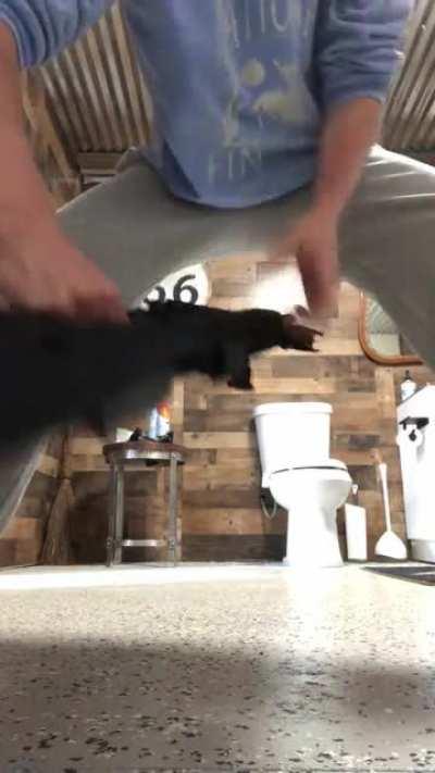 Hope y’all don’t mind if cum through here and smash the 🅱️ointing record with a 3in 🅱️agnum slug. Shitter in background.