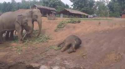 I can't believe you've done this to me