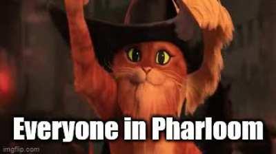 That entire kingdom is going to be erased from existence the moment they finds out