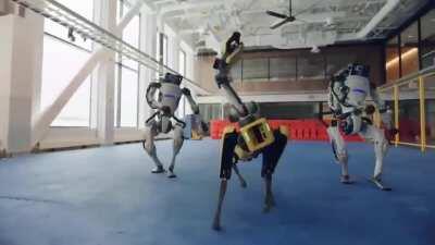 Rubius, Alexby, Maximus y cheeto cuando se compren un perro robot