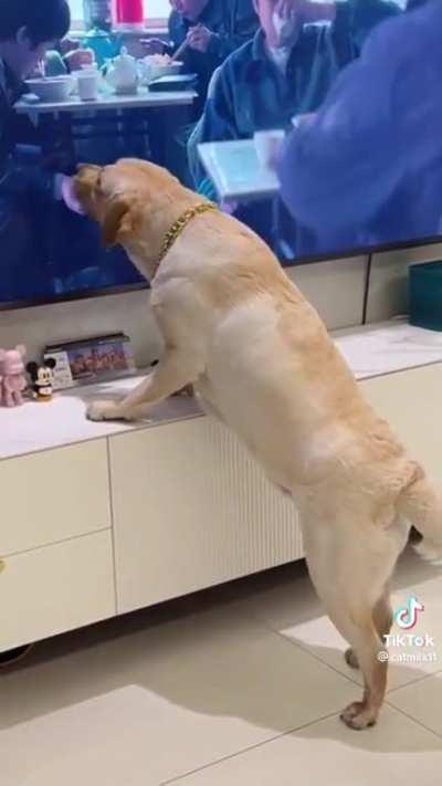 just trying to get himself a snack