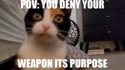 I'M WUNKING INVINCIBLE