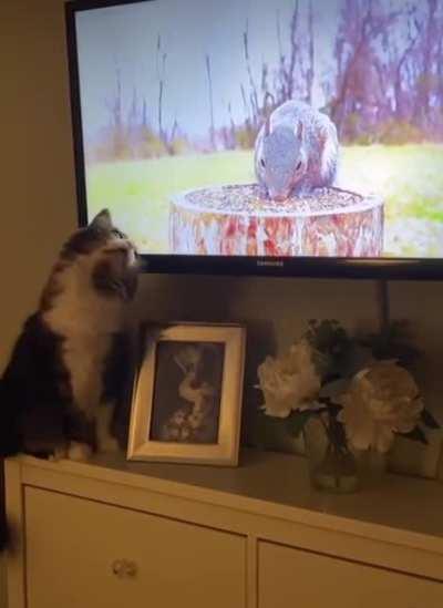 The conundrum of life in 2D