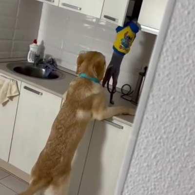 Thieves got caught stealing. One is doing the job and the other is watching his back