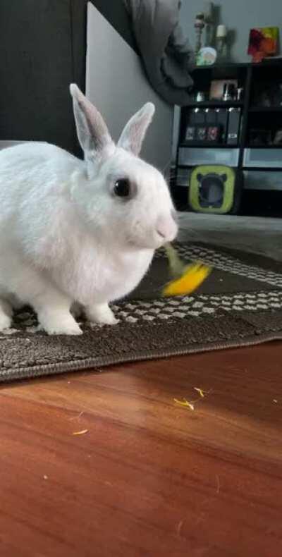 Bugs: destroyer of weeds