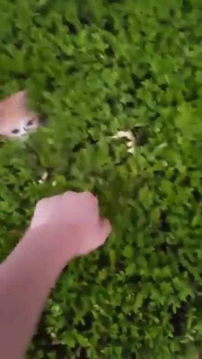 Do you like to play like that ?!?