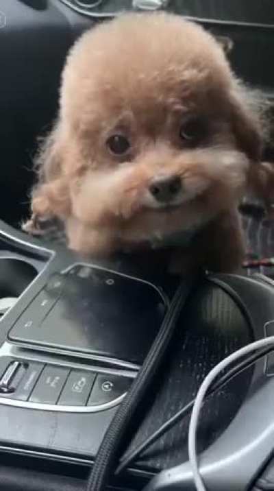 Body text (optional)