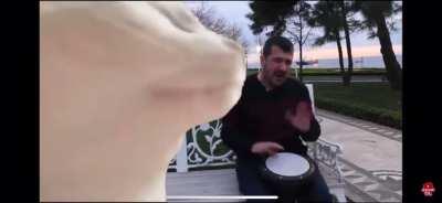 All I can think about right now..