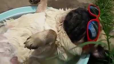 Блаженный воскресенский расслабон [ЗВУК]