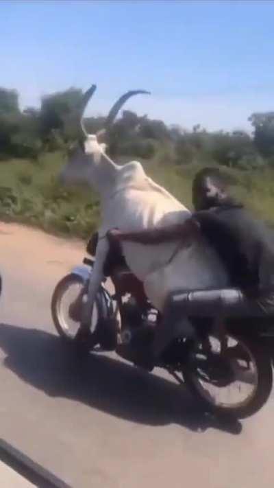 Next level type of sh!t