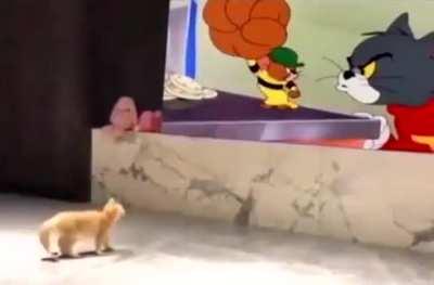 Two for the price of one...