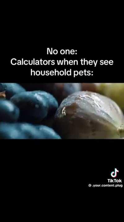 Petah, what does this mean?