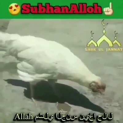 👳🏾‍♂️🙏