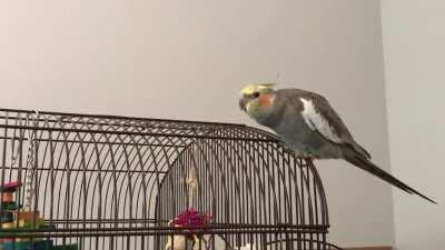 This is Marty. Sometimes Marty is very dramatic.