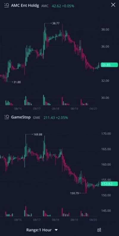 AMC and GME chart animation on the “1hr chart.” LITERALLY, the same movement. Absolute corruption.