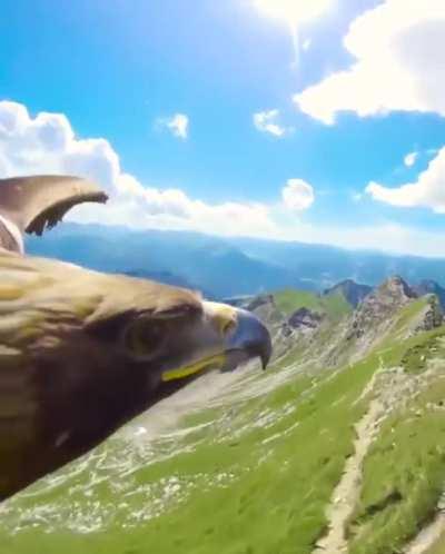 These Wonderful Shots By An Eagle