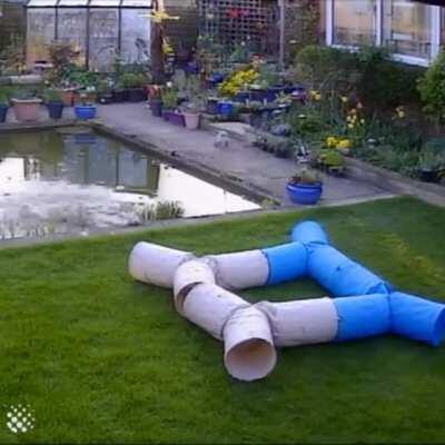 Lag Causes Catastrophic Error