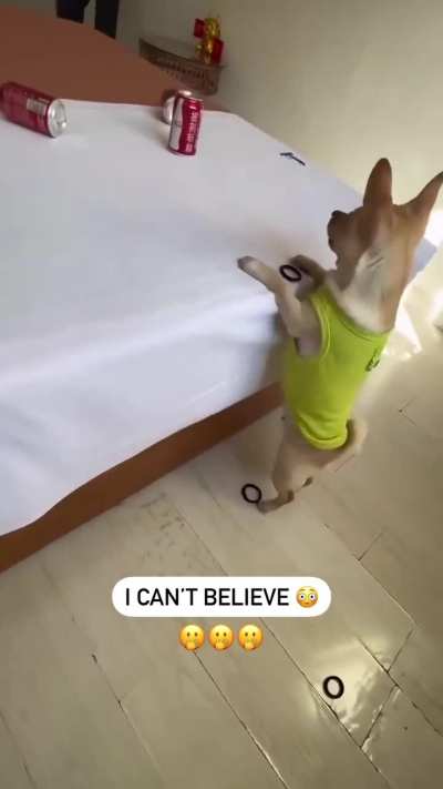 The accuracy is insane
