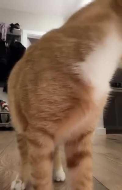 Да что она о себе возомнила!