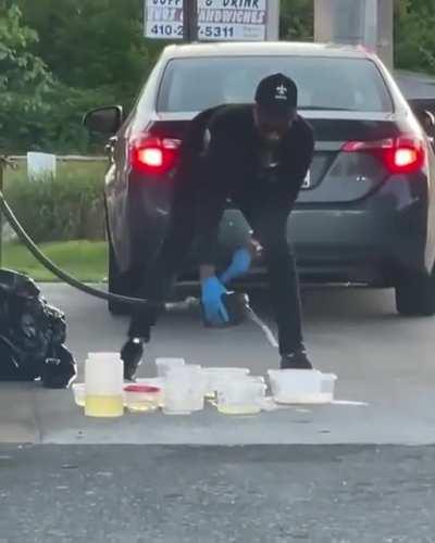 The most intelligent species in the galaxy