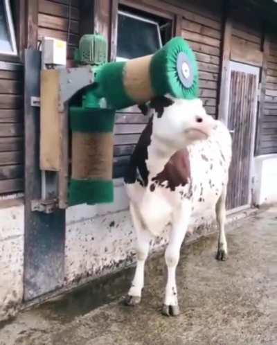 Oh that happy little hop at the end!