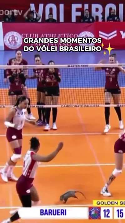 One of the biggest moments for Brazilian volleyball!
