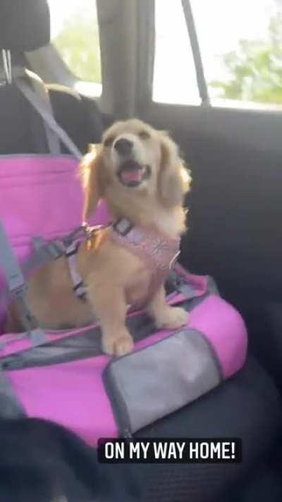 Tired after playing at the beach 🏖