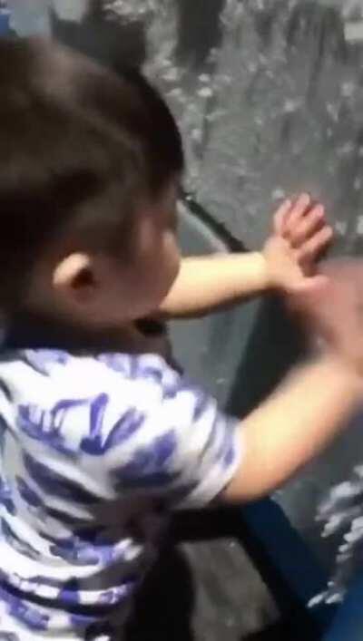 When you ask the ghost to show itself and it actually listens