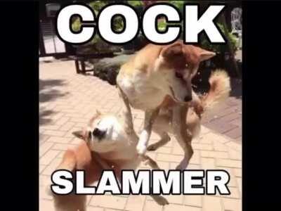 pressur e cook my greasy balls