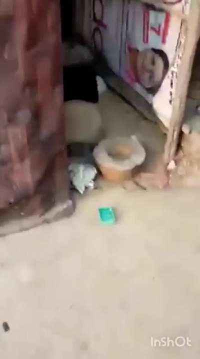 Sorry uncle aap kriye