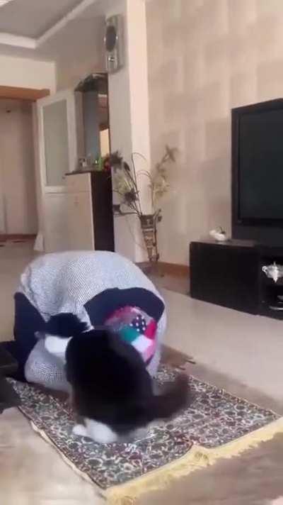 No freedom of religion in this house