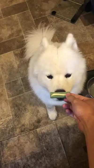 Thank You hooman i will come back again