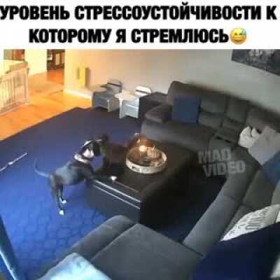 Ваще похуй.