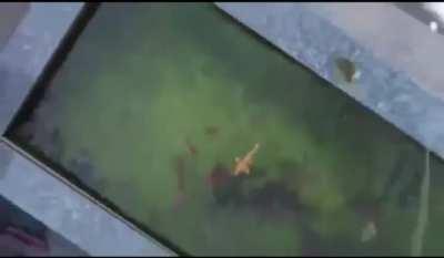 Guy in Beijing fishes from his apartment while in lockdown